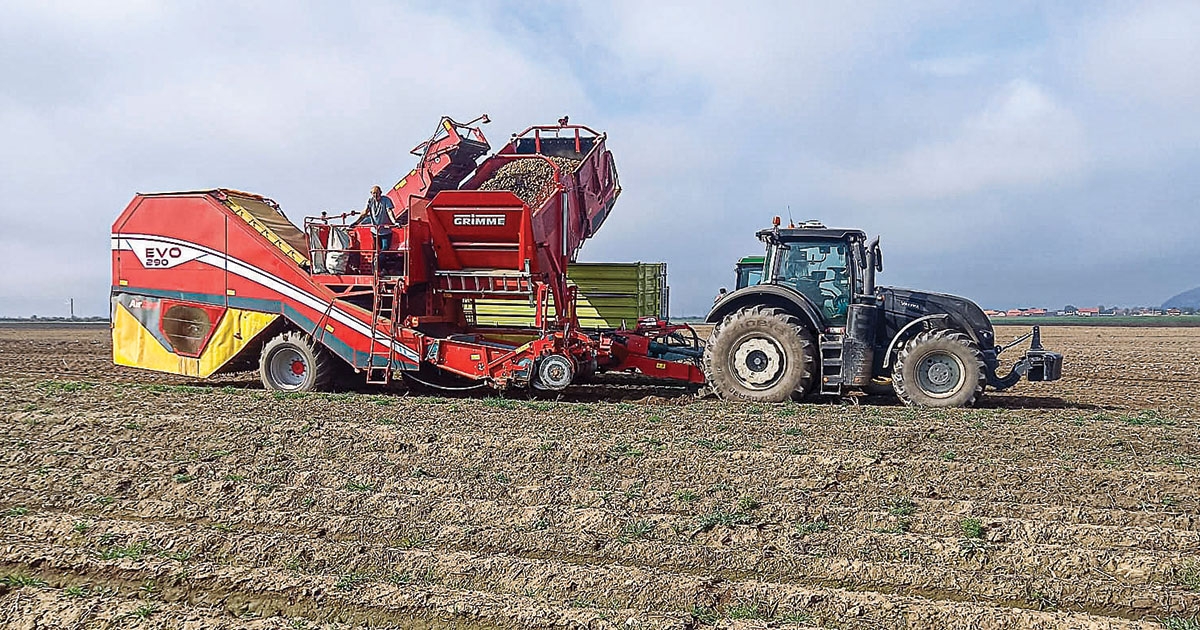Elkezdődött a betakarítás